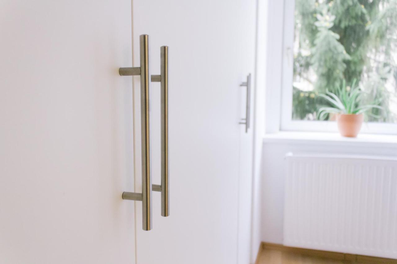 Bright, And Stylish Viena